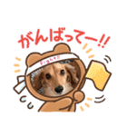 大好き孔明くん2（個別スタンプ：4）