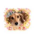 大好き孔明くん2（個別スタンプ：5）