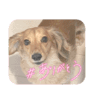 大好き孔明くん2（個別スタンプ：7）