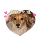 大好き孔明くん2（個別スタンプ：10）