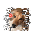 大好き孔明くん2（個別スタンプ：11）