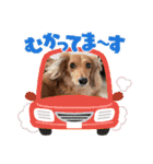 大好き孔明くん2（個別スタンプ：12）