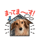 大好き孔明くん2（個別スタンプ：13）
