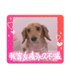 大好き孔明くん2（個別スタンプ：14）