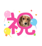 大好き孔明くん2（個別スタンプ：17）