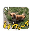 大好き孔明くん2（個別スタンプ：18）
