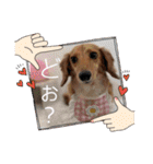 大好き孔明くん2（個別スタンプ：21）