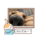 大好き孔明くん2（個別スタンプ：22）