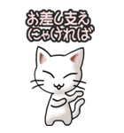 猫ねこにゃんこ その3（白）猫敬語（個別スタンプ：11）