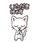 猫ねこにゃんこ その3（白）猫敬語（個別スタンプ：13）