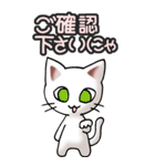 猫ねこにゃんこ その3（白）猫敬語（個別スタンプ：14）