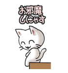 猫ねこにゃんこ その3（白）猫敬語（個別スタンプ：18）