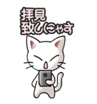 猫ねこにゃんこ その3（白）猫敬語（個別スタンプ：19）