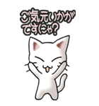 猫ねこにゃんこ その3（白）猫敬語（個別スタンプ：21）