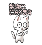 猫ねこにゃんこ その3（白）猫敬語（個別スタンプ：24）