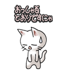 猫ねこにゃんこ その3（白）猫敬語（個別スタンプ：25）