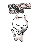 猫ねこにゃんこ その3（白）猫敬語（個別スタンプ：26）