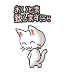 猫ねこにゃんこ その3（白）猫敬語（個別スタンプ：27）