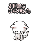 猫ねこにゃんこ その3（白）猫敬語（個別スタンプ：29）