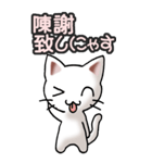 猫ねこにゃんこ その3（白）猫敬語（個別スタンプ：34）