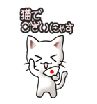 猫ねこにゃんこ その3（白）猫敬語（個別スタンプ：40）