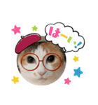 日常で使えるリアルにゃんこスタンプ（個別スタンプ：36）