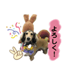 りん☆everyday3（個別スタンプ：2）