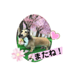 りん☆everyday3（個別スタンプ：3）