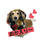 りん☆everyday3（個別スタンプ：4）