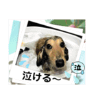 りん☆everyday3（個別スタンプ：6）