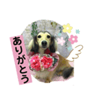 りん☆everyday3（個別スタンプ：7）