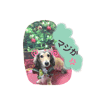 りん☆everyday3（個別スタンプ：8）
