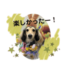 りん☆everyday3（個別スタンプ：10）