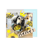 りん☆everyday3（個別スタンプ：11）