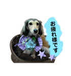 りん☆everyday3（個別スタンプ：12）