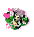 りん☆everyday3（個別スタンプ：13）