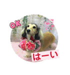 りん☆everyday3（個別スタンプ：15）