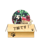 りん☆everyday3（個別スタンプ：16）