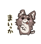 うちの犬_ウィニー1（個別スタンプ：18）