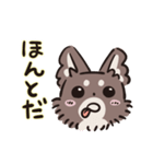 うちの犬_ウィニー1（個別スタンプ：33）