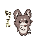 うちの犬_ウィニー1（個別スタンプ：40）