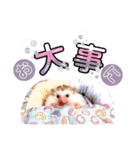 チモ＆ビン＆ラム（個別スタンプ：13）