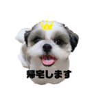 小太郎とマロン（個別スタンプ：7）