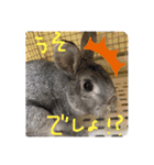 ぐースタンプ2（個別スタンプ：7）