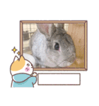 ぐースタンプ2（個別スタンプ：15）