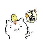 ねこ時折ひよこ（個別スタンプ：2）