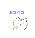 ねこ時折ひよこ（個別スタンプ：12）