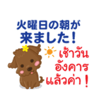 るぅ 今日も頑張ろうPop-up タイ語日本語（個別スタンプ：8）