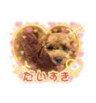 トイプードル（sea君2）（個別スタンプ：2）