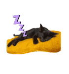 黒猫ヨルヨル（個別スタンプ：2）